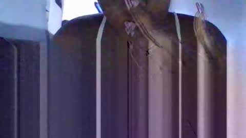 Snapshot of tanaya1 chatting on 10-10-25, 05:28 Tanaya1 online show from 10-10-25, 05:28