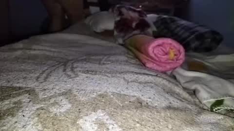 Snapshot of tangaxhentai3 chatting on 01-06-25, 12:48 tangaxhentai3 online show from 01-06-25, 12:48