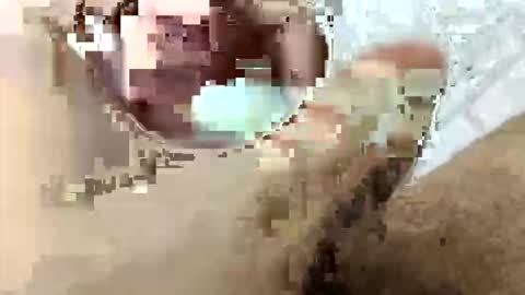 Snapshot of tarek088 chatting on 04-30-26, 11:09 tarek088 online show from 04-30-26, 11:09