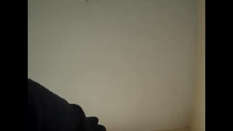 Beliqnegar online show from 02-14-26, 07:49