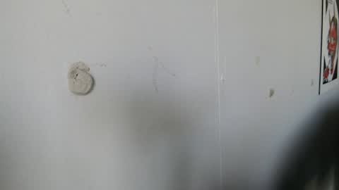 Evee  Jaxx online show from 06-12-26, 12:48