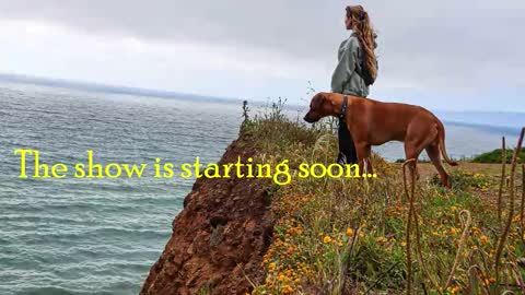 TATUM  ALL MY LINKS  online show from 10-23-25, 10:30