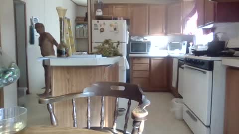 Snapshot of teak4u chatting on 10-01-25, 08:15 Teak online show from 10-01-25, 08:15