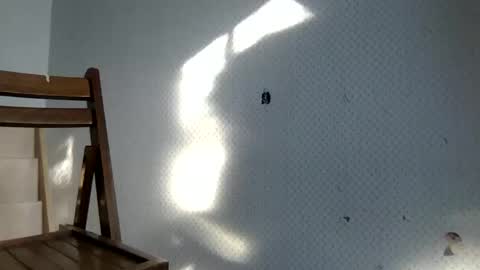 tec0vas online show from 12-30-24, 08:25