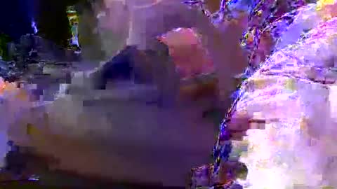 teki80j online show from 01-30-25, 08:11