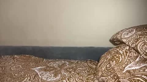 Ariana online show from 03-06-26, 05:09