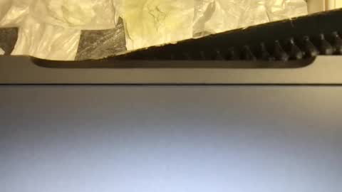 Terence online show from 11-09-25, 04:55