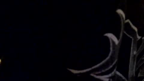 Snapshot of tericmidnight chatting on 05-17-26, 07:21 Call me Jason online show from 05-17-26, 07:21