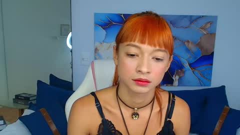 Terry online show from 03-07-26, 08:17