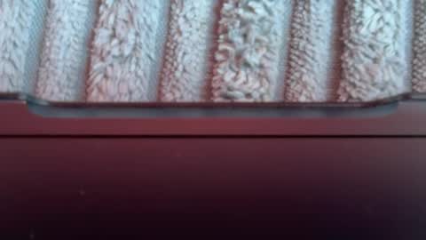 tetebumbum online show from 08-03-26, 01:05