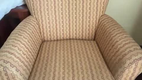 Tev online show from 03-23-26, 03:05