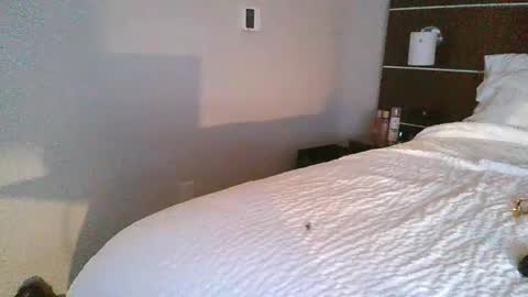 tfoolery34 online show from 02-24-26, 11:52