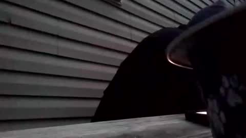 the_invincible_1 online show from 11-02-25, 11:45