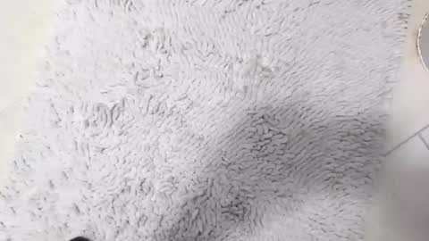 TheOne online show from 04-08-26, 08:42