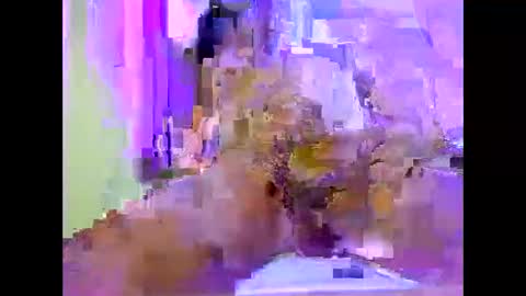 the_zy79 online show from 04-10-26, 03:23