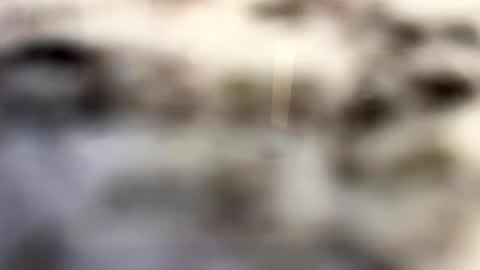 thebodythefeet online show from 01-04-25, 07:23