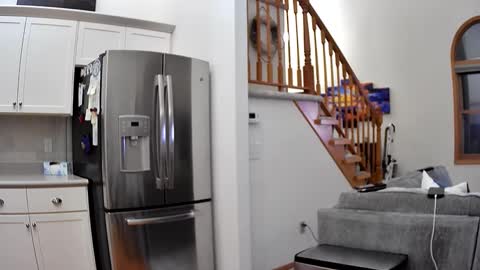 thegreat6268469 online show from 12-03-25, 03:58