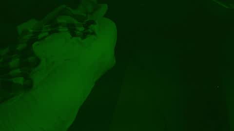 Snapshot of thehungmantis chatting on 12-26-24, 04:32 thehungmantis online show from 12-26-24, 04:32