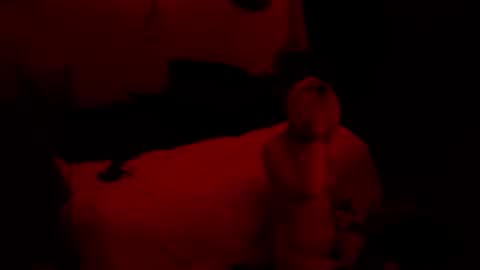 Snapshot of thehungmantis chatting on 10-15-25, 02:22 thehungmantis online show from 10-15-25, 02:22