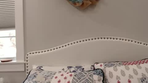 Lacey online show from 12-01-24, 06:19