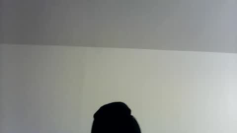 theman18951pa online show from 11-01-25, 10:06