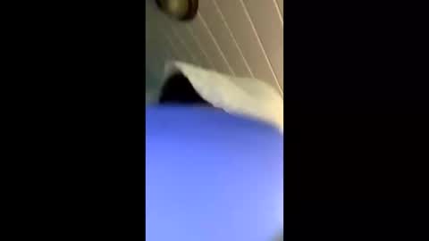 theonlyboi43ver online show from 11-04-25, 03:33