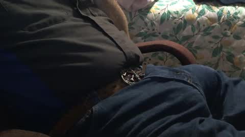 thetnguy online show from 12-21-24, 12:42