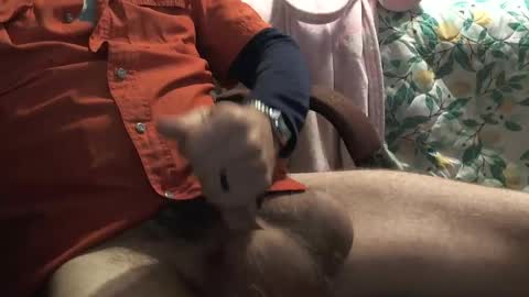 thetnguy online show from 12-23-24, 06:27