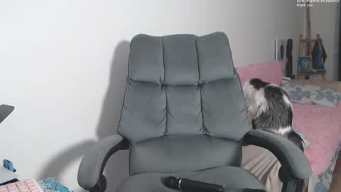 Snapshot of theysaidimcute chatting on 02-19-26, 09:11 theysaidimcute online show from 02-19-26, 09:11