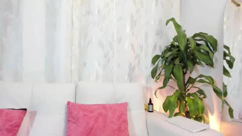 Thiago  online show from 02-03-26, 11:10