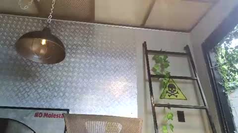 Snapshot of thiagofox1 chatting on 07-29-26, 11:52 Thiago online show from 07-29-26, 11:52