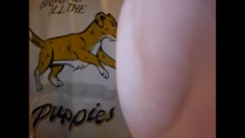 ThisIsFuckingFun online show from 03-04-25, 07:19