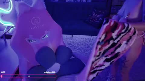 Snapshot of throttlekitten chatting on 05-19-26, 01:56 throttlekitten online show from 05-19-26, 01:56