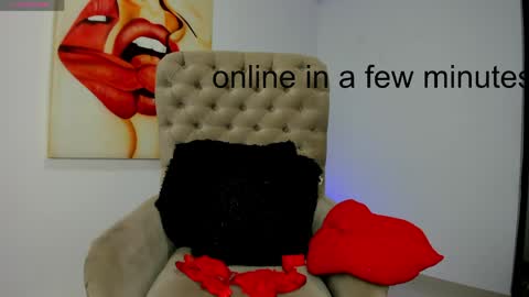 Snapshot of tiago_hannah chatting on 05-17-26, 09:49 carolina online show from 05-17-26, 09:49