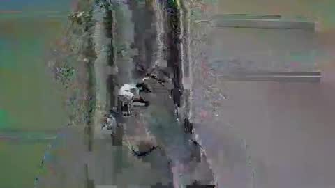 tifa_lockheart online show from 04-11-26, 11:03