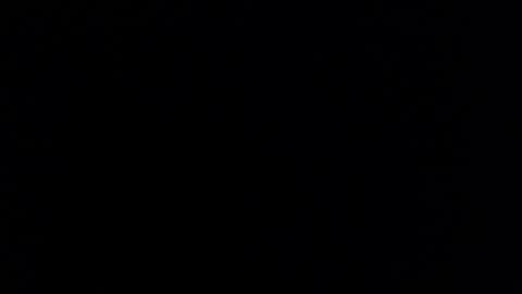 Tiffany Brewer online show from 03-14-26, 11:43