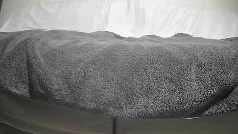 Snapshot of timeisgone chatting on 09-29-25, 04:12 Casey online show from 09-29-25, 04:12