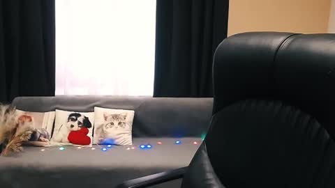 Snapshot of timeparadice chatting on 11-14-25, 08:46 Luisa online show from 11-14-25, 08:46