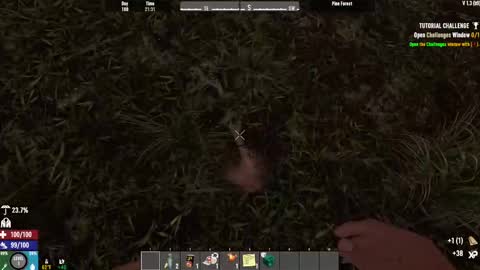 TimLooking online show from 02-15-25, 08:22