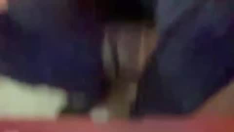 Timplaw online show from 01-03-25, 03:33