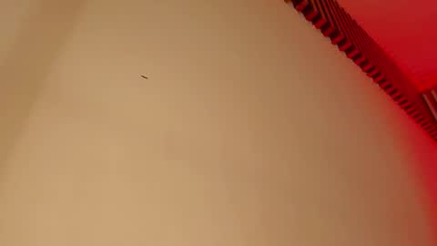 Tina  online show from 09-29-25, 05:01