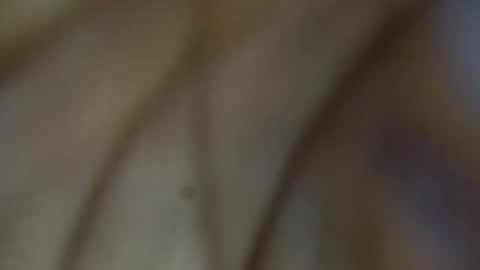 tinagiant online show from 01-11-26, 04:45