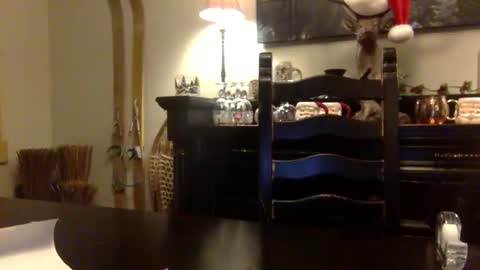 tinyandtatted420 online show from 12-18-25, 01:22