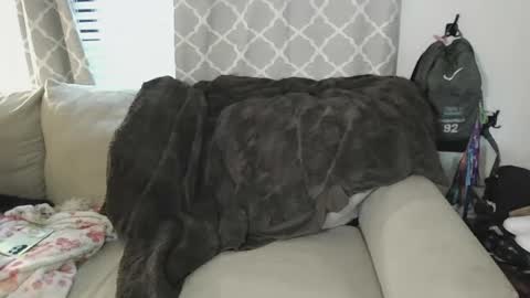 Snapshot of tittee_mcgee chatting on 09-19-25, 06:41 tittee mcgee online show from 09-19-25, 06:41