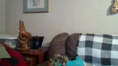 Vols online show from 10-29-25, 09:49