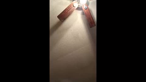 Vols online show from 01-11-26, 01:27