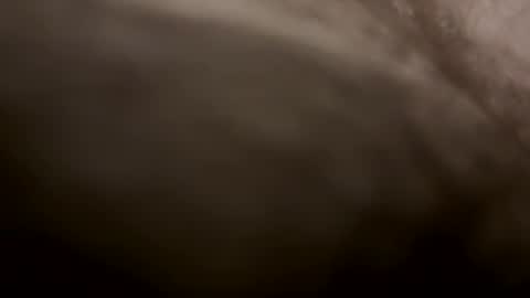 Snapshot of toesturnmeon chatting on 10-11-25, 07:29 toesturnmeon online show from 10-11-25, 07:29