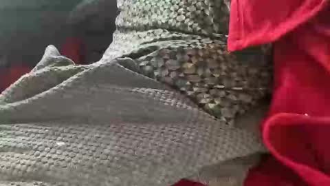 Tom online show from 01-09-25, 01:35