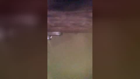 tomcop11111 online show from 03-29-26, 09:20