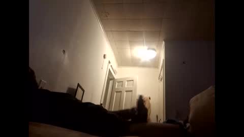 Snapshot of tonetanight chatting on 02-07-26, 04:22 tonetanight online show from 02-07-26, 04:22